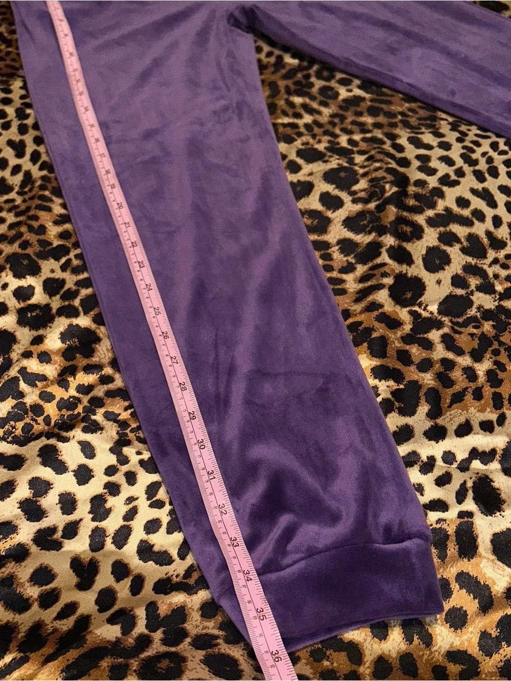 Rwtgnlf Girl’s Purple Velour Tracksuit Set
